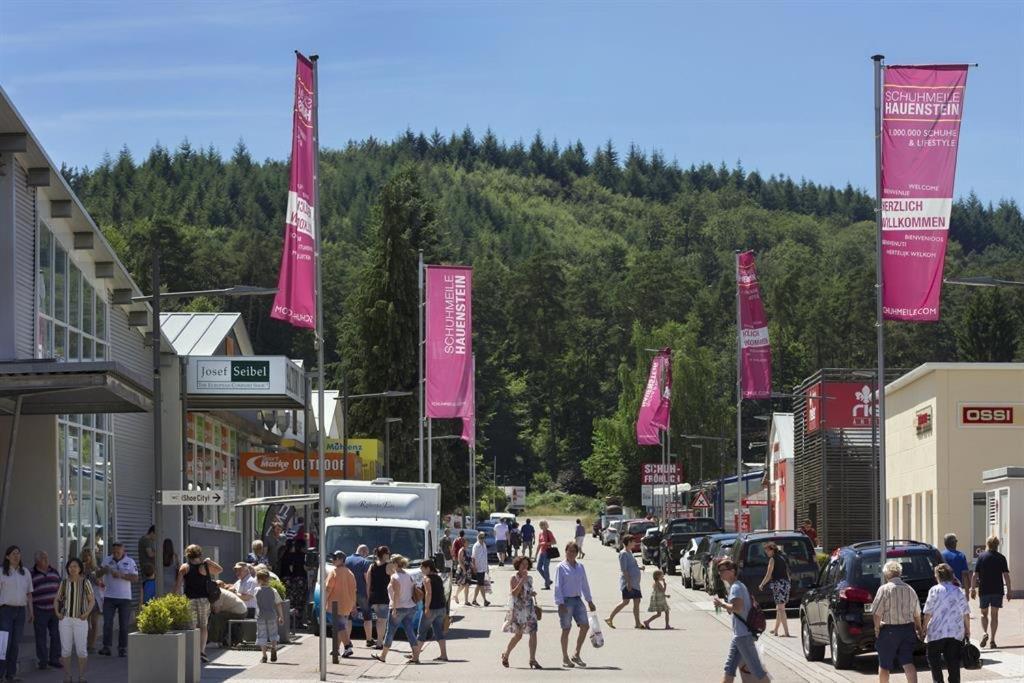 Apartment Schöne Mitten Im Pfälzerwaldgebiet Leimen (Palatinate)